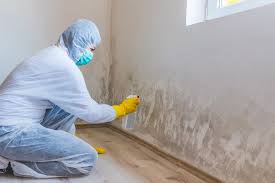 Mold Remediation for Rental Properties in Drexel, NC